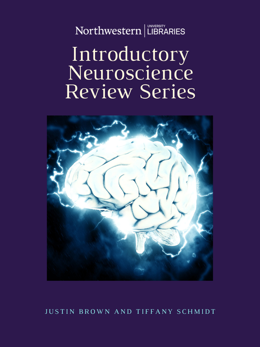 Cover image for Introductory Neuroscience Review Series